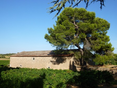 à vendre Domaine viticole - fonds de commerce/agri / agro/e de luxe Aude 530 000 €