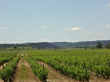 Propriete de luxe Limoux 1 431 000 €