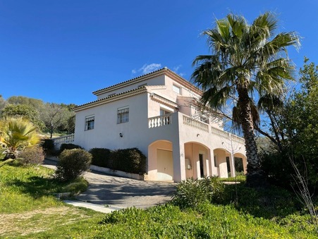 à vendre Villa de qualité Afa 765 000 €