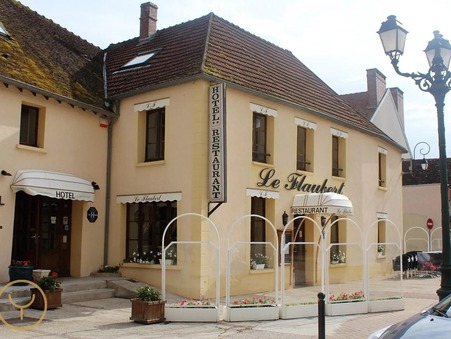 à vendre Hotel particulier de prestige Aube 610 000 €
