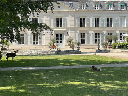 à vendre Chateau haut de gamme Île-de-France 14 000 000 €