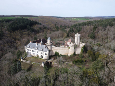 à vendre Chateau grand standing Allier 1 500 000 €