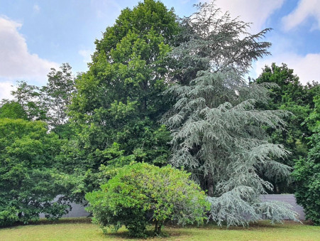 à vendre Maison de prestige Andernos les Bains 569 900 €