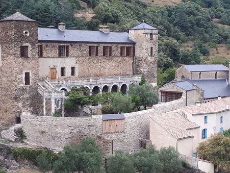 Achat Hôtel de luxe Carcassonne 1 595 000 €