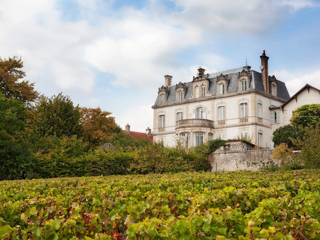 Achat        Villa haut standing Bourgogne 2 472 000 €