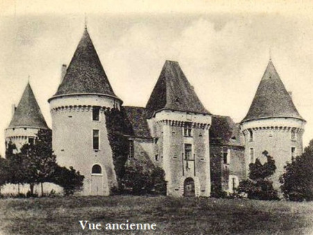 Achat Chateau de prestige Aquitaine 793 280 €