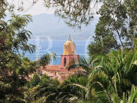 à vendre Villa de luxe Saint Tropez 8 500 000 €