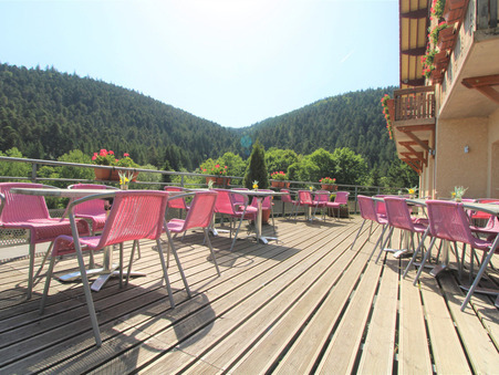 Vente Hôtel de luxe Gérardmer 1 196 000 €