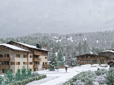 Achat Appartement de qualité Praz sur Arly 590 000 €