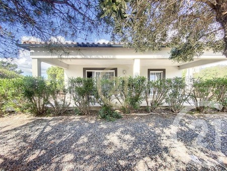 Vente Maison de luxe Lecci 520 000 €