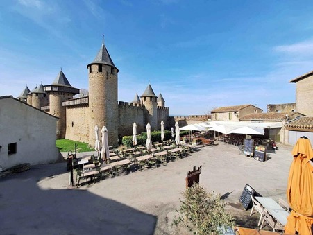 Maison de luxe Carcassonne 850 000 €