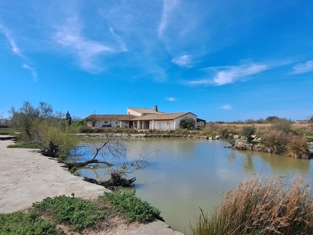 Vente Maison grand standing Saintes Maries de la Mer 1 184 000 €