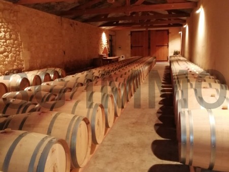 Achat Chateau grand standing Gironde 2 400 000 €