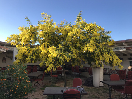 Achat Villa de luxe Saintes Maries de la Mer 1 545 000 €