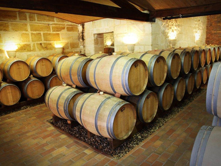 Vente Maison de maître d’exception Bourg 779 250 €