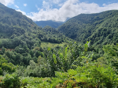 à vendre Chalet de prestige Aquitaine 187 000 €