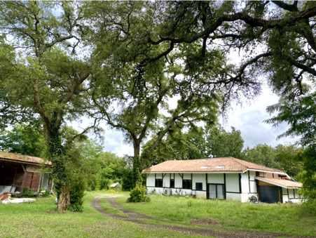 Maison de prestige Messanges 990 000 €