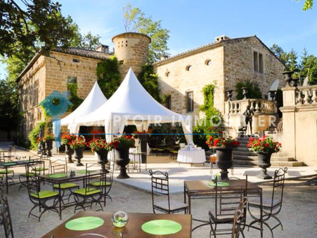 Achat Château grand standing Vaucluse 3 675 000 €