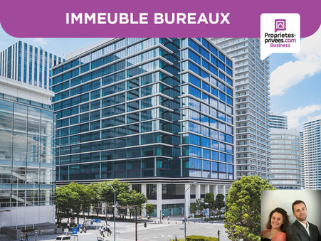 Professionnel de luxe Lille 558 398 €
