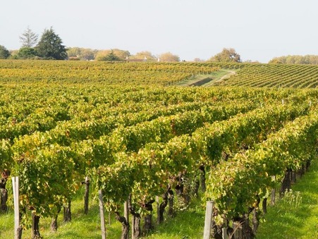 Vente Propriété viticole de prestige Aquitaine 1 500 000 €