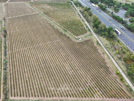 Vente Domaine viticole de prestige Lézignan Corbières 535 000 €
