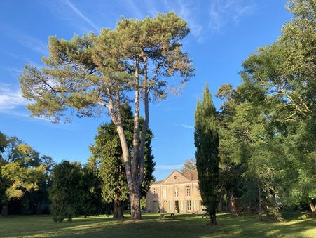Vente Manoir haut de gamme Tarn et garonne 835 000 €