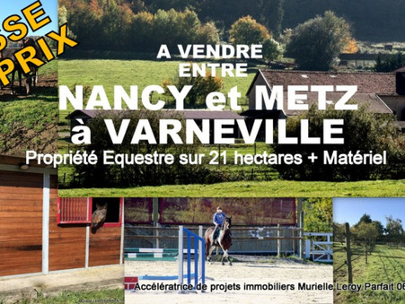 à vendre Villa de luxe Metz 843 000 €