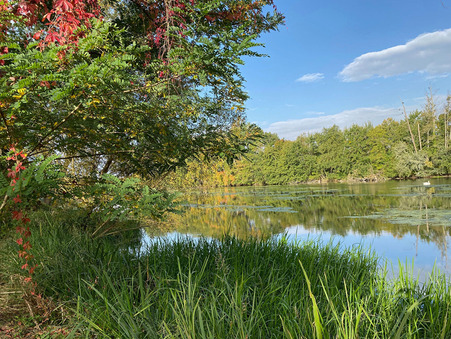 Achat Villa de luxe Loiret 550 000 €