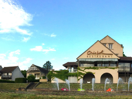 à vendre Hotel particulier haut de gamme Yonne 990 000 €