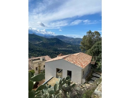 à vendre Appartement haut de gamme Corbara 520 000 €
