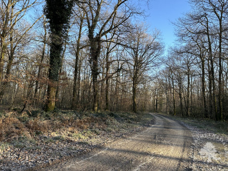 à vendre Terrain haut de gamme Cher 1 960 000 €