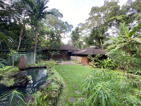 à vendre Maison  Paita 63 500 000 €