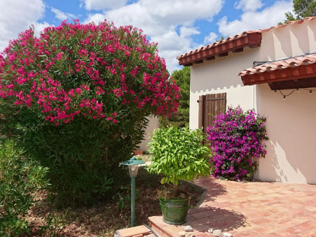 Vente Maison grand standing La Palme 680 000 €