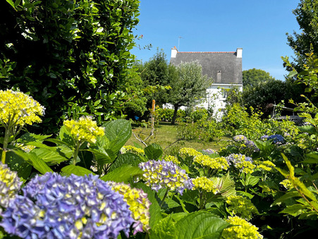 Maison de prestige Saint philibert 604 314 €