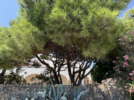 Maison de prestige La palme 680 000 €
