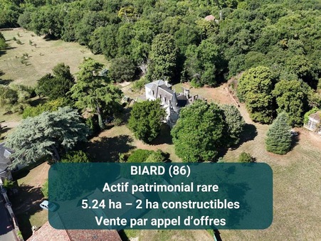 Vente Château de prestige Vienne 1 755 000 €