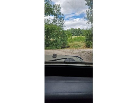 Vente Terrain d’exception Maine et loire 1 250 000 €