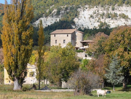 Vente Château de luxe Rhône-Alpes 428 000 €