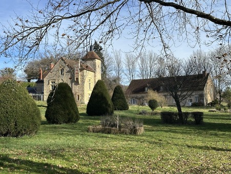 Achat Château  Nièvre 877 680 €