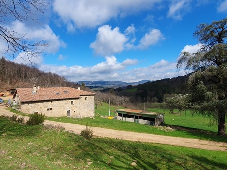 Achat Chateau de qualité Rhône-Alpes 890 000 €