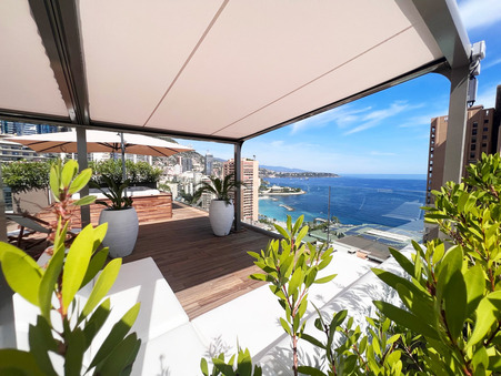 Vente Appartement de qualité Monaco 9 900 000 €