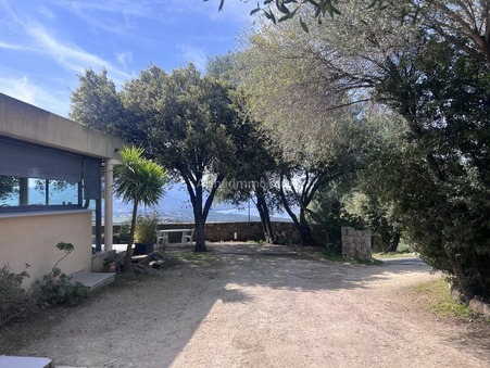 Achat Villa grand standing Lumio 1 242 000 €