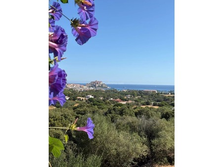 Achat Maison jumel&eacute;e haut de gamme Calvi 570 000 €