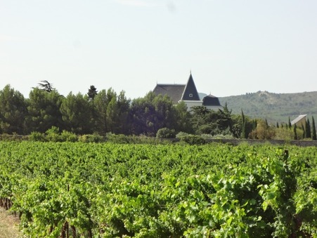 à vendre Chateau de qualité Aude 1 295 000 €