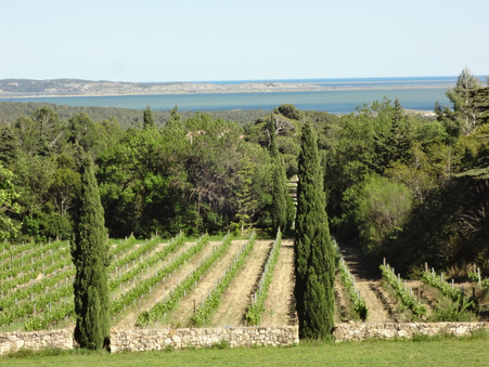 à vendre Domaine viticole grand standing Aude 3 570 000 €